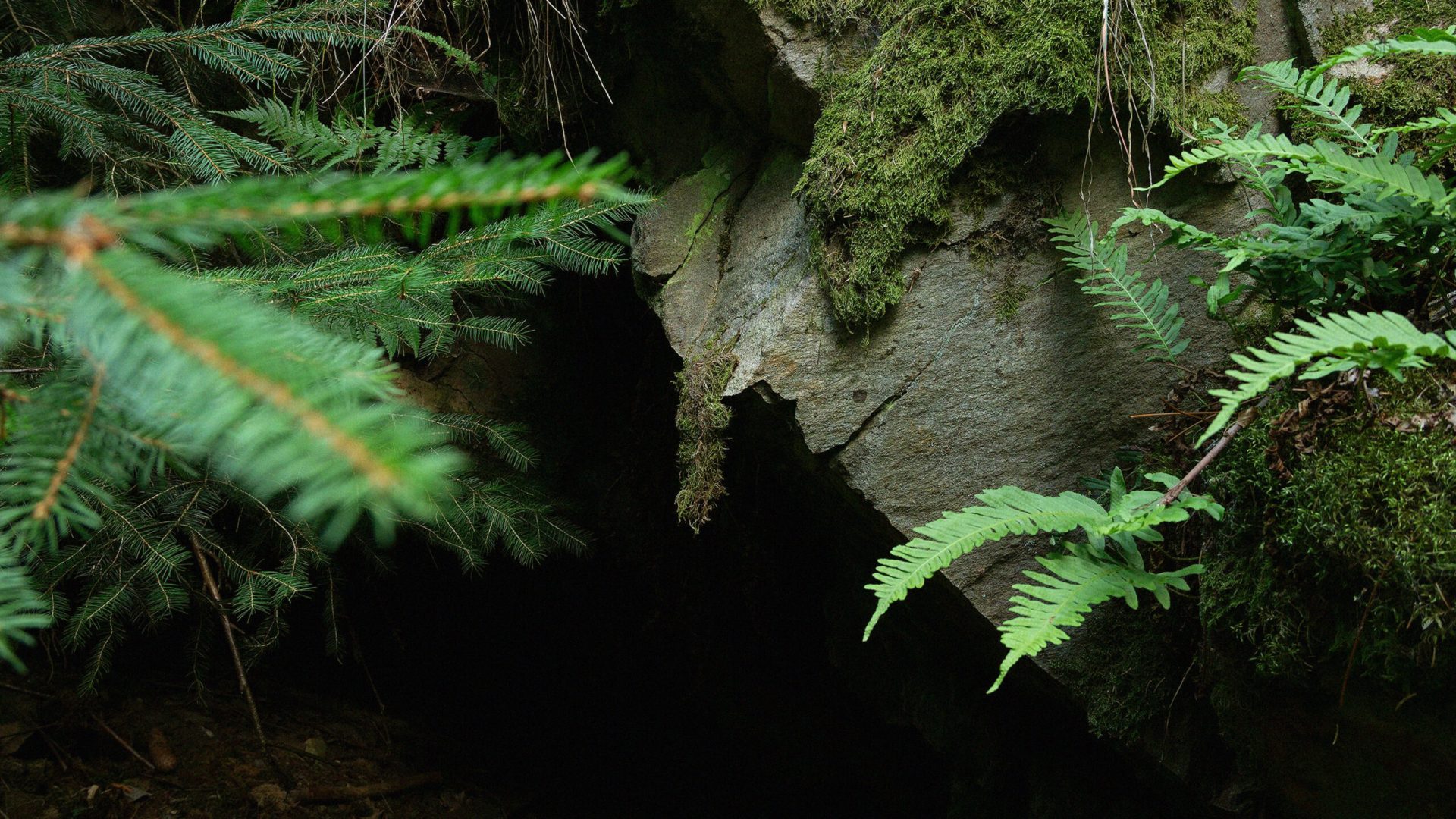 W głąb Ziemi w głąb czasu 2